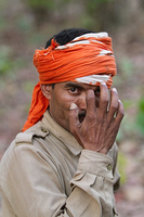 "Walks With Tigers (Forest Foot Patrol)"     Bandhavgarh National Park, India