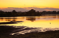 "Luangwa Wafwa Sunset I"     South Luangwa National Park, Zambia