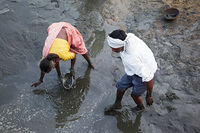 "Catfishing II"     Madhya Pradesh, India