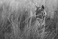 © All Images and Content Copyright Gero Heine 2005-2013.  All Rights Reserved.