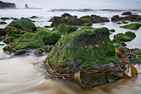 All Images and Content Copyright Gero Heine 2005-2010.  All Rights Reserved.