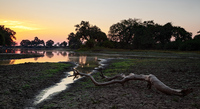 "Sunset at Fisheagle Lagoon"     South Luangwa National Park, Zambia