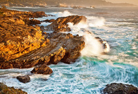 © All Images and Content Copyright Gero Heine 2005-2013.  All Rights Reserved.