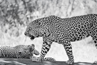 © All Images and Content Copyright Gero Heine 2005-2013.  All Rights Reserved.