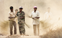 "Sweeping Dust Road"     Kanha National Park, India