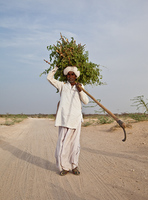 "Bishnoi Shepherd II"     Rajasthan, India