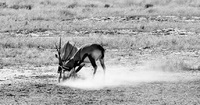 © All Images and Content Copyright Gero Heine 2005-2013.  All Rights Reserved.