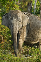 © All Images and Content Copyright Gero Heine 2005-2013.  All Rights Reserved.