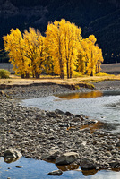"Lamar Valley Fall Mood"     Yellowstone National Park, Wyoming