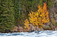 "Fall River II"     Yellowstone National Park, Wyoming