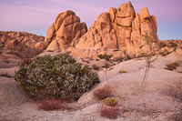 "Skull Rock Sunset Reflection"     Joshua Tree National Park, California