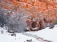 "Fire and Ice"     Zion National Park, Utah