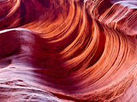 "Canyon Wave I"     Vermilion Wilderness, Utah