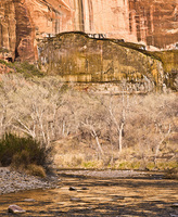 "Virgin River and Weeping Rock Alcove"     Zion National Park, Utah