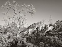 © All Images and Content Copyright Gero Heine 2005-2013.  All Rights Reserved.