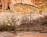 "Virgin River and Weeping Rock Alcove II"     Zion National Park, Utah
