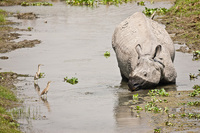 © All Images and Content Copyright Gero Heine 2005-2013.  All Rights Reserved.