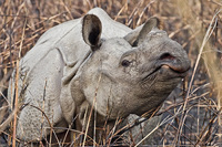 © All Images and Content Copyright Gero Heine 2005-2013.  All Rights Reserved.