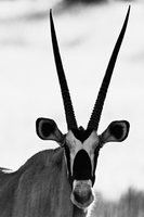 © All Images and Content Copyright Gero Heine 2005-2013.  All Rights Reserved.