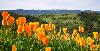All Images and Content Copyright Gero Heine 2005-2010.  All Rights Reserved.