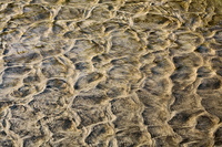 Texture