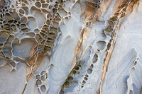 "Sandstone I"     San Mateo County, California