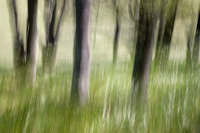 © All Images and Content Copyright Gero Heine 2005-2013.  All Rights Reserved.