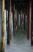 All Images and Content Copyright Gero Heine 2005-2010.  All Rights Reserved.