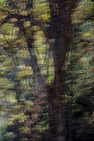 © All Images and Content Copyright Gero Heine 2005-2013.  All Rights Reserved.