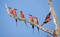 All Images and Content Copyright Gero Heine 2005-2010.  All Rights Reserved.