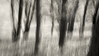© All Images and Content Copyright Gero Heine 2005-2013.  All Rights Reserved.