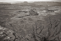 © All Images and Content Copyright Gero Heine 2005-2013.  All Rights Reserved.