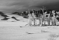 © All Images and Content Copyright Gero Heine 2005-2013.  All Rights Reserved.