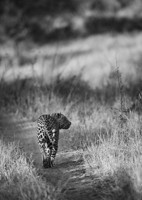 © All Images and Content Copyright Gero Heine 2005-2013.  All Rights Reserved.
