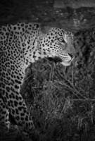 © All Images and Content Copyright Gero Heine 2005-2013.  All Rights Reserved.