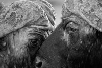 © All Images and Content Copyright Gero Heine 2005-2013.  All Rights Reserved.