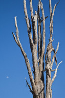 All Images and Content Copyright Gero Heine 2005-2010.  All Rights Reserved.