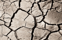 "Cracked Mud"     South Luangwa National Park, Zambia