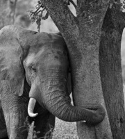 © All Images and Content Copyright Gero Heine 2005-2013.  All Rights Reserved.