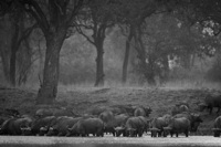 © All Images and Content Copyright Gero Heine 2005-2013.  All Rights Reserved.