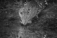 © All Images and Content Copyright Gero Heine 2005-2013.  All Rights Reserved.