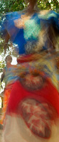 "Vivid Vibrations"     Mfuwe, Zambia