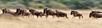 © All Images and Content Copyright Gero Heine 2005-2013.  All Rights Reserved.