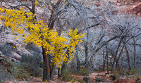 All Images and Content Copyright Gero Heine 2005-2010.  All Rights Reserved.