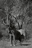 © All Images and Content Copyright Gero Heine 2005-2013.  All Rights Reserved.