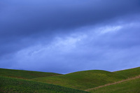 All Images and Content Copyright Gero Heine 2005-2010.  All Rights Reserved.